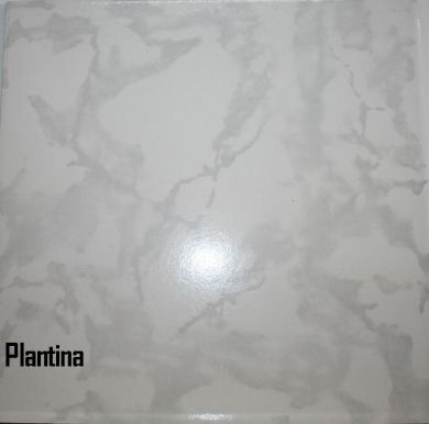 Viena Plantina 12''x12''