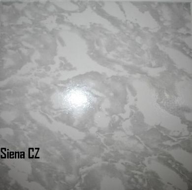 Viena Siena CZ 12''x12''