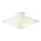 White Ceiling Mount White Ceiling Mount