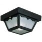 Black Polypropylene Ceiling Mount/Outdoor